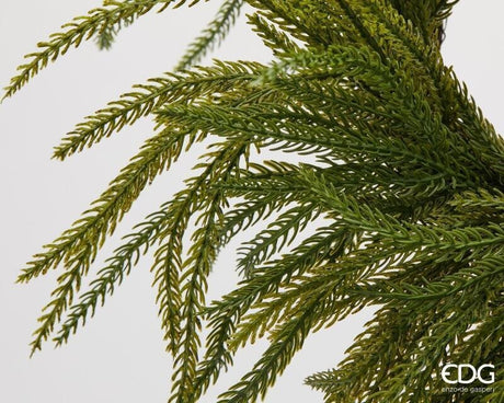 EDG Enzo De Gasperi Green Cryptomeria Christmas Wreath Ø35 cm – Decorative Garland for Doors, Walls and Christmas Decorations