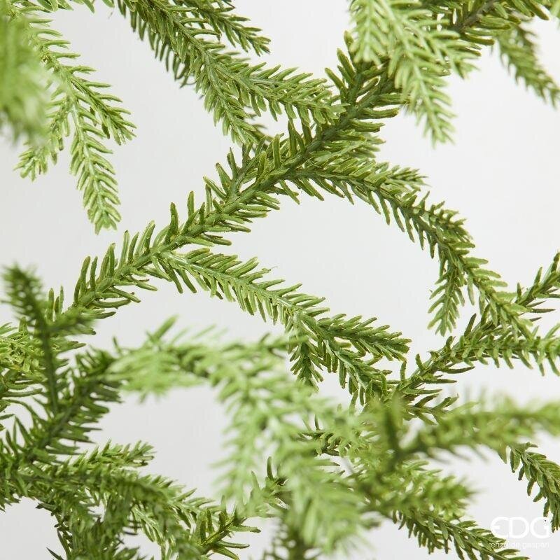 EDG Enzo De Gasperi Festone Natalizio Cryptomeria L260 cm Verde – Ghirlanda Decorativa di Natale