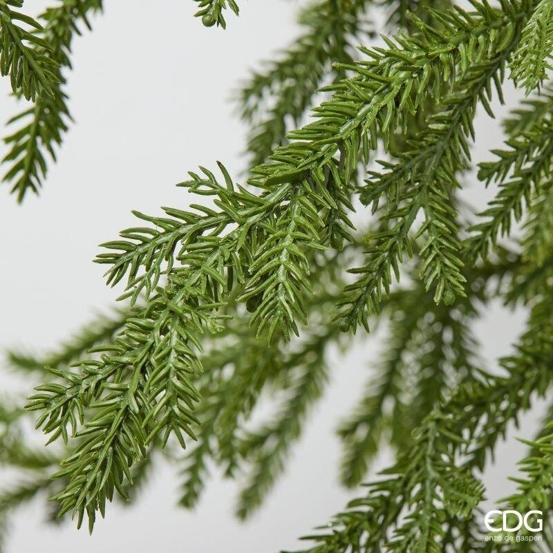 EDG Enzo De Gasperi Festone Natalizio Cryptomeria L260 cm Verde – Ghirlanda Decorativa di Natale