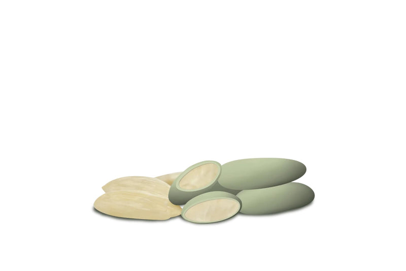 Maxtris Sugared Almonds Avola Nuance Sage 1 Kg