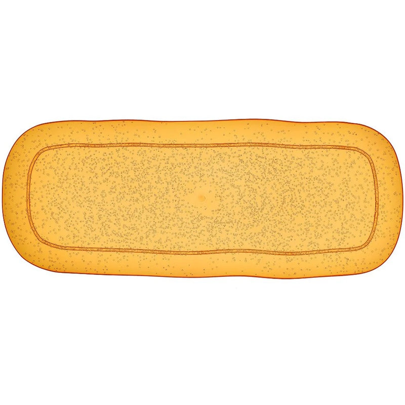 Zani Serafino Large Rectangular Tray Memento Synth in Mandarin Methacrylate