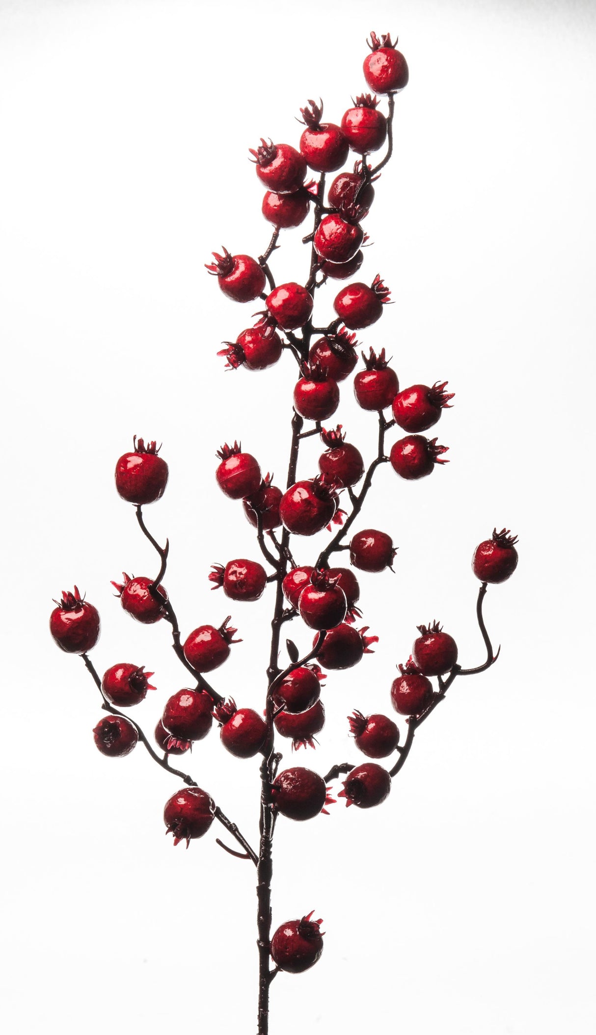 Berries Shoot 80cm Red