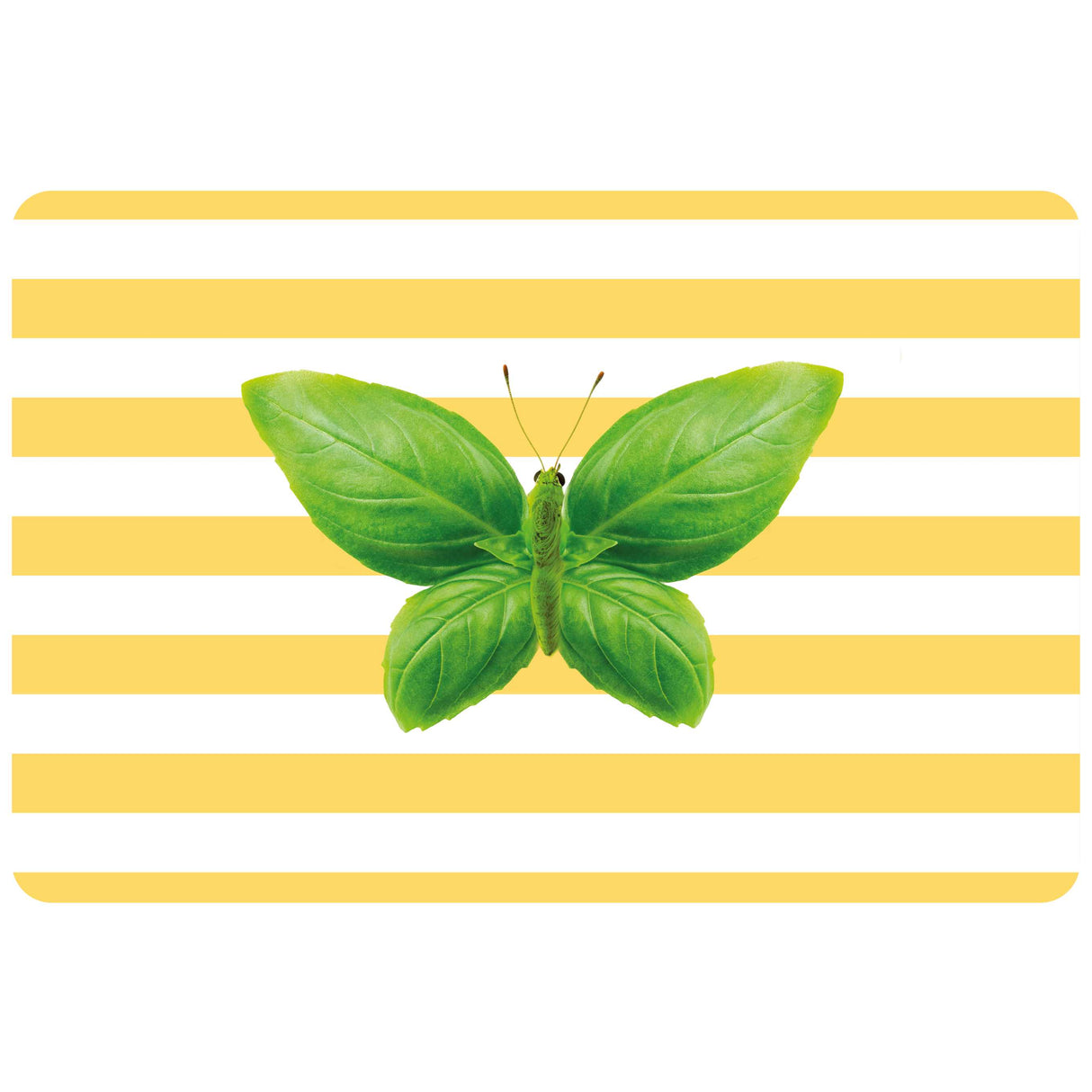 WD LifeStyle Reversible Placemat 43 x 30 Cm PVC Butterfly Design