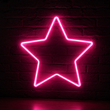 EDG Enzo De Gasperi NeonLed Christmas Star Double Face D 60 Cm 240 Led Pink