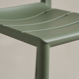 Cassia Stool Cactus Material Detail Close-up