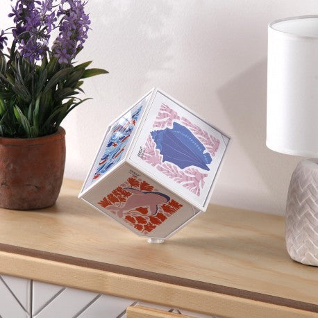 Versa White Photo Cube "Juno" 10x10