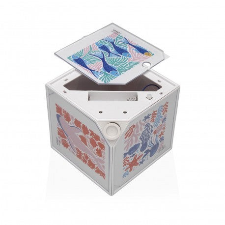 Versa White Photo Cube "Juno" 10x10