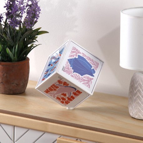 Versa White Photo Cube "Juno" 10x10