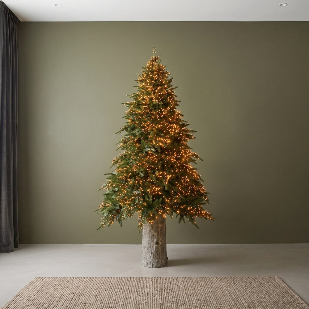 Trees