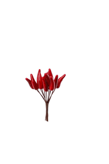 immagine-1-arpimex-bouquet-12-peperoncini-rossi-ean-8018318543883