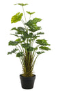 immagine-1-arpimex-pianta-taro-h-90-cm-verde-ean-8018318548550