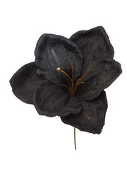 ARPIMEX Pick Amarillys D 16 Cm H 18 Cm Black