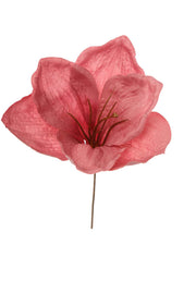 ARPIMEX Pick Amarillys D 16 Cm H 18 Cm Pink