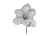ARPIMEX Pick Amaryllis Snowy Christmas 23 Cm Blue