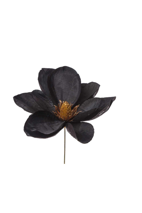 immagine-1-arpimex-pick-magnolia-nera-ean-8018318740077