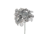 ARPIMEX Pick Snowy Hydrangea 19 Cm Blue