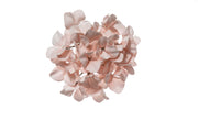 ARPIMEX Pick Christmas Snowy Hydrangea Pvc 21 Cm Powder