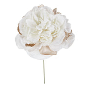 ARPIMEX Pick Peony H 23 Cm Beige