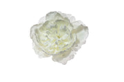ARPIMEX Pick Snow Peony 23 Cm White
