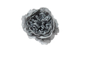 ARPIMEX Pick Snowy Peony 23 Cm Blue