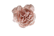 ARPIMEX Pick Snow Peony 23 Cm Powder