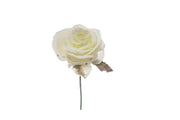 ARPIMEX Pick Rosino Snowy White