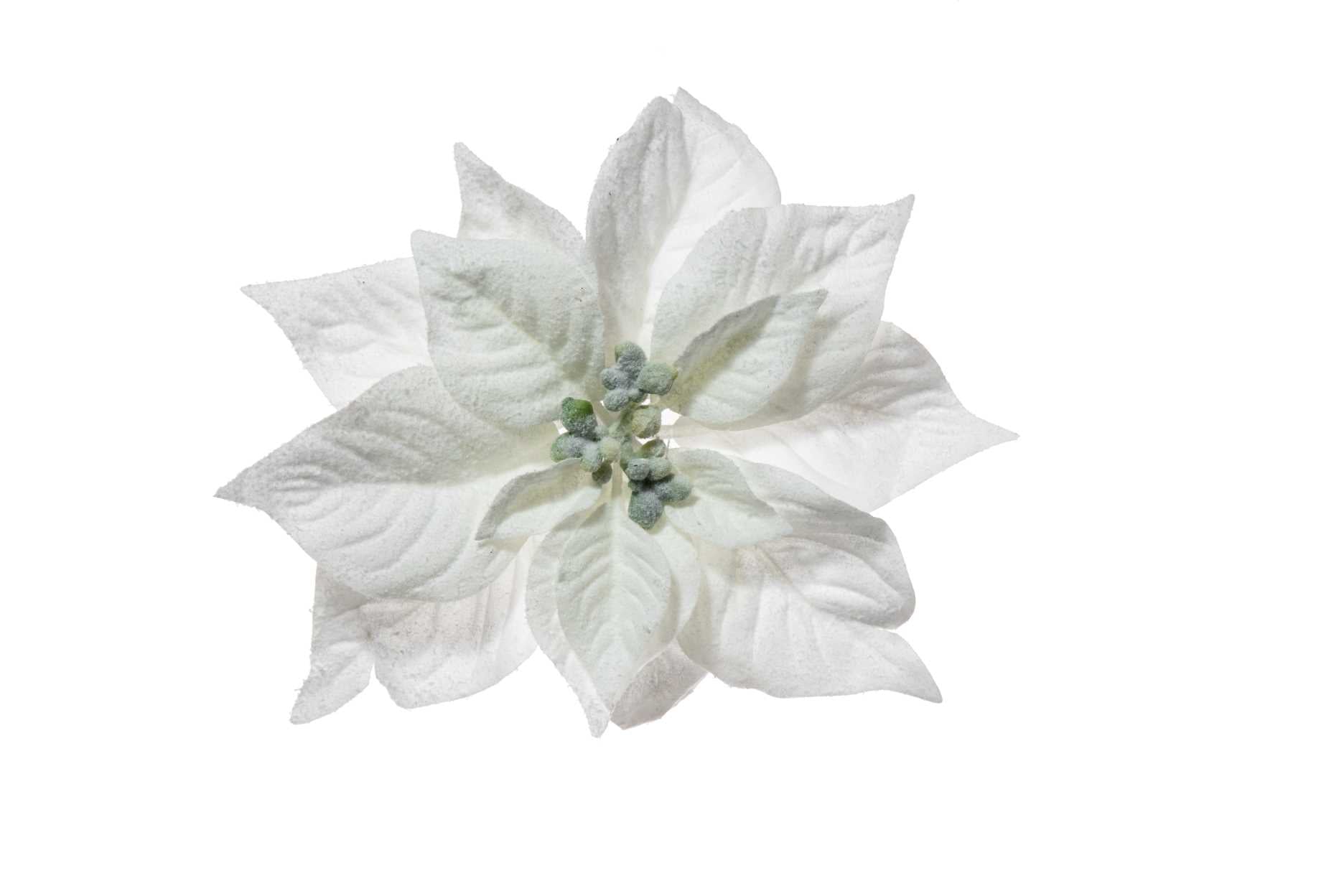 immagine-1-arpimex-pick-stella-di-natale-poinsettia-innevata-23-cm-bianca-ean-8018318403552