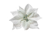 ARPIMEX Pick Christmas Star Poinsettia Snowy 23 Cm White