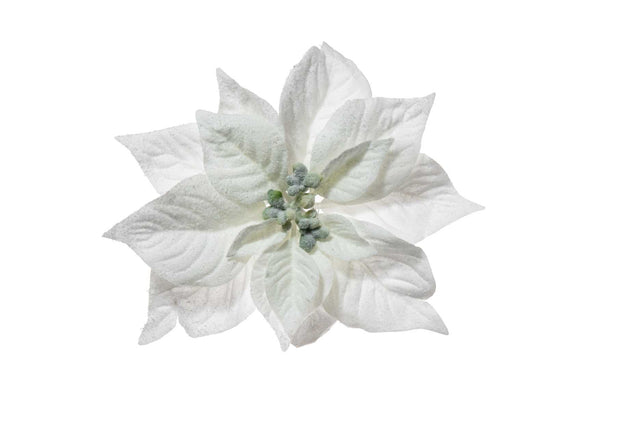 immagine-1-arpimex-pick-stella-di-natale-poinsettia-innevata-23-cm-bianca-ean-8018318403552