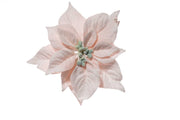 ARPIMEX Pick Christmas Star Poinsettia Snowy 23 Cm Powder