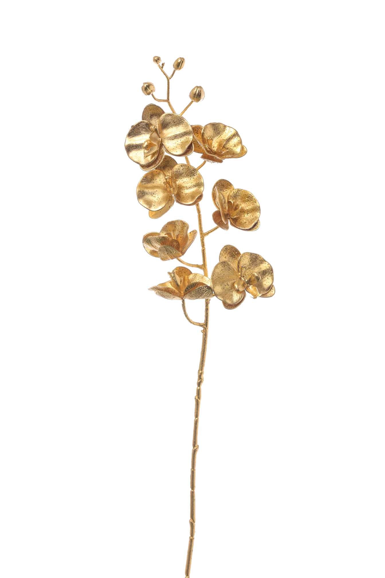 immagine-1-arpimex-ramo-orchidea-phalenopsis-76-cm-gold-ean-8018318964404