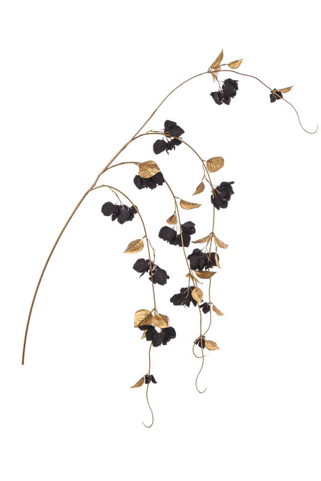 immagine-1-arpimex-tralcio-bouganvillea-h-155-cm-nero