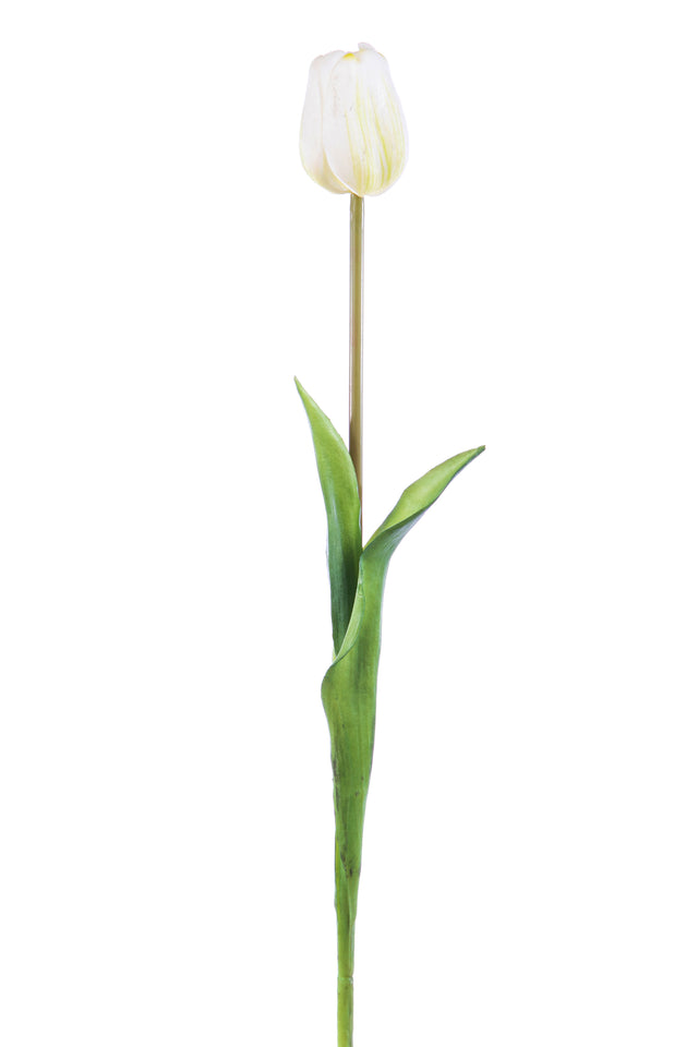 immagine-1-arpimex-tulipano-natural-touch-h-47-cm-bianco-1-pz-ean-8018318703218