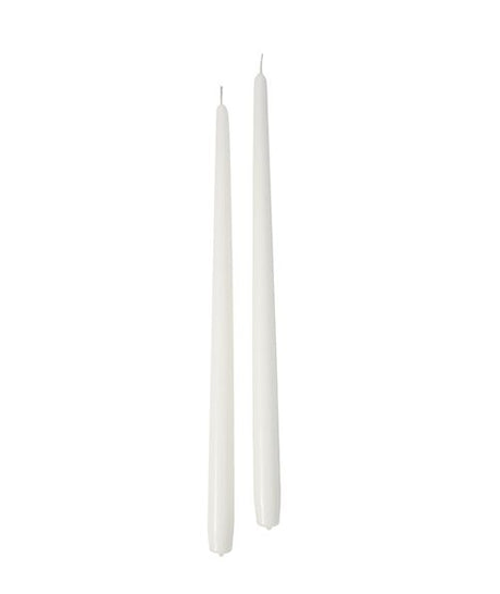 immagine-1-cereria-di-giorgio-candele-coniche-d-22-cm-h-40-cm-tortora-6-pz-ean-8006545064134