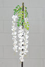 immagine-1-conti-ramo-glicine-3-fiori-polybag-white-ean-8032971341907