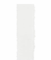 Cupido&amp;Co. Gauze Ribbon H 25 Mm L 25 Mt White