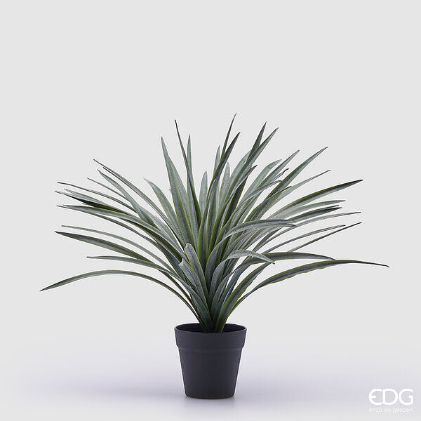 immagine-1-edg-enzo-de-gasperi-bromelia-con-vaso-h-45-cm-verde-ean-8059824358721