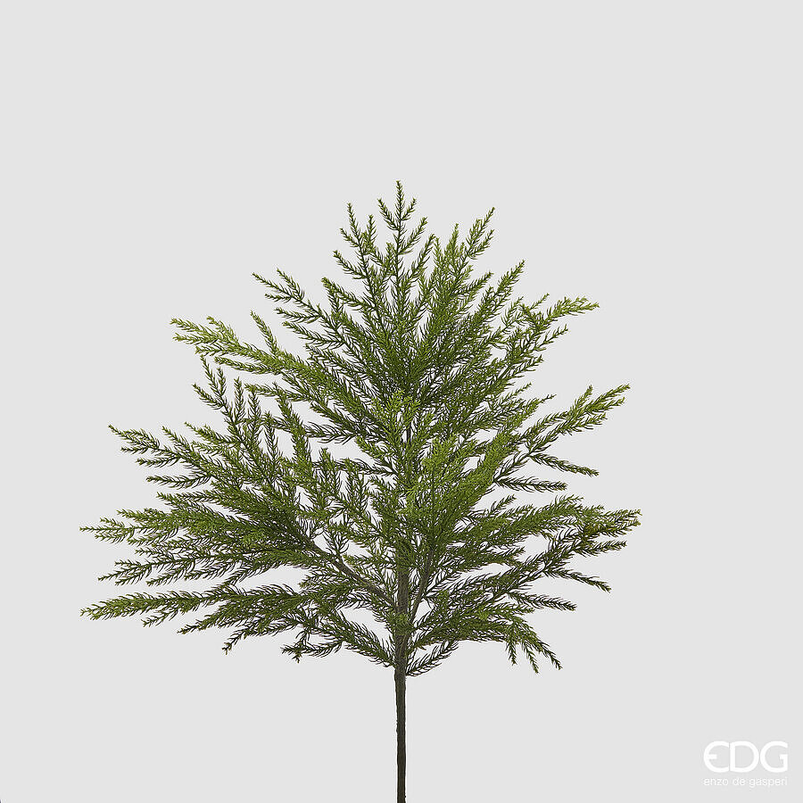 immagine-1-edg-enzo-de-gasperi-cryptomeria-cespuglia-l-66-cm-verde-ean-8059824414151