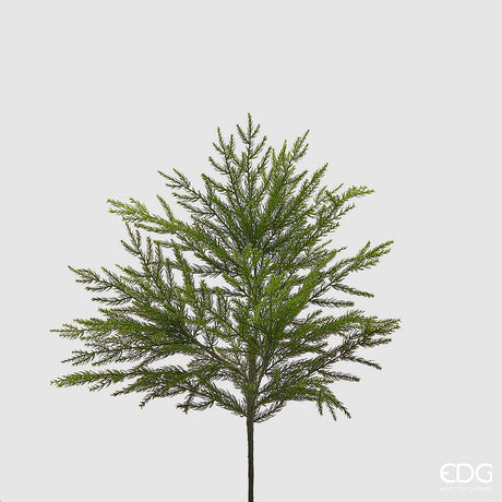 immagine-1-edg-enzo-de-gasperi-cryptomeria-cespuglia-l-66-cm-verde-ean-8059824414151