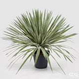 edg enzo de gasperi edg enzo de gasperi agave con vaso pianta artificiale h 80 cm verde ean 8059824518248