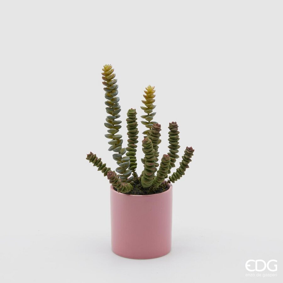 edg enzo de gasperi edg enzo de gasperi crassula con vaso in ceramica h 25 cm d 8 cm verde rosa pianta artificiale succulenta decorativa design moderno ean 8059824123923