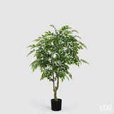 edg enzo de gasperi edg enzo de gasperi ficus beniamino vogue con vaso pianta artificiale h 156 cm verde ean 8059824607348
