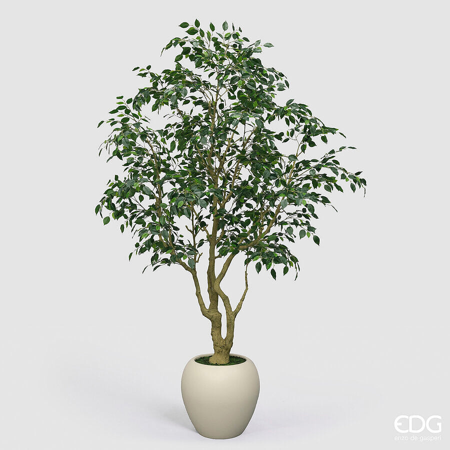 edg enzo de gasperi edg enzo de gasperi ficus beniamino vogue con vaso pianta artificiale h 240 cm verde ean 8059824607324