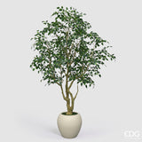 edg enzo de gasperi edg enzo de gasperi ficus beniamino vogue con vaso pianta artificiale h 240 cm verde ean 8059824607324