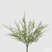 EDG Enzo De Gasperi Ginestra Bush Artificial Plant H 55 Cm White