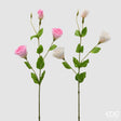 edg enzo de gasperi edg enzo de gasperi lisiantus ramo con foglie ass h 71 cm d 10 cm pianta artificiale colore bianco o rosa1 pz ean 8059824614599