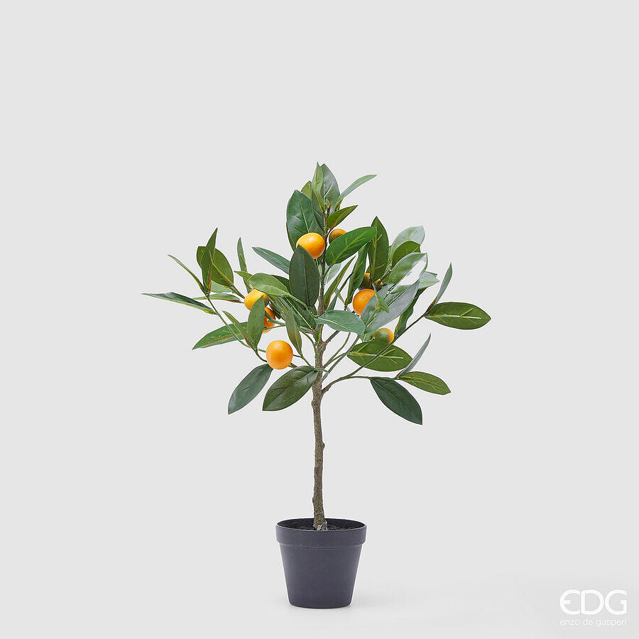 edg enzo de gasperi edg enzo de gasperi mandarino con vaso h 56 cm pianta artificiale mix verde ean 8059824355874