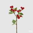 edg enzo de gasperi edg enzo de gasperi more ramo x15 h 40 cm pianta artificiale rosso scuro ean 8054184537656