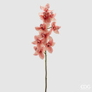 EDG Enzo De Gasperi Cymbidium Orchid H 90 Cm Pink