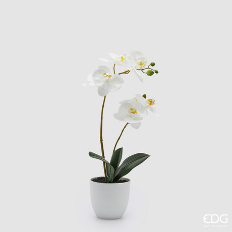 edg enzo de gasperi edg enzo de gasperi orchidea phalaenopsis con vaso e foglie h 50 cm pianta artificiale bianco ean 8059824513595